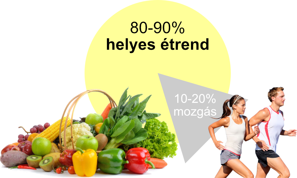 Sikeres fogyás • A zsírégetés legfőbb titka