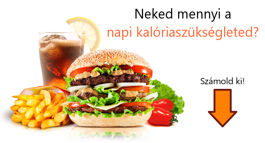 Napi kalóriaszükséglet • Kalóriaszükséglet kalkulátor