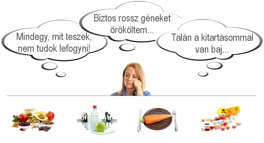 Egy hormon, ami szó szerint MINDEN zsírégetést irányít!
