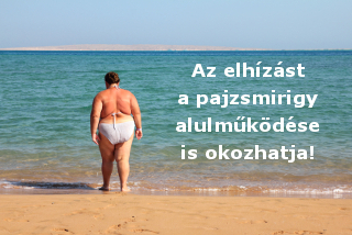 Az elhízást a pajzsmirigy alulműködése is okozhatja! Az elhízást a pajzsmirigy alulműködése is okozhatja!