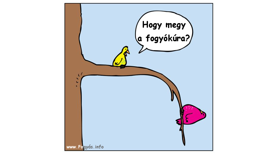 Fogyás, fogyókúra viccek